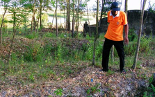 Đi tìm phế liệu, người dân Hà Tĩnh phát hiện kho báu nặng 15kg: Hàng nghìn đồng tiền kết thành mảng được đào lên