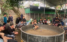 Cảnh sát đồng loạt đột kích khu vực sau nhà của Hồ Anh Quyết, bắt 28 người