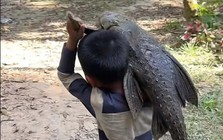 Cậu bé 5 tuổi gồng mình vác con "thủy quái" nặng trĩu đi khắp làng, ai nhìn cũng giật mình