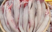 Phát hiện nhiều khu chợ bán cá cháo có chứa chất cấm