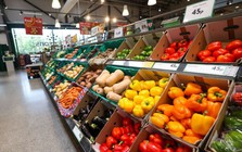 Loại rau nhiều vitamin C hơn cả chanh, báo Anh khen nức nở: Người Việt trồng lãi hàng trăm triệu