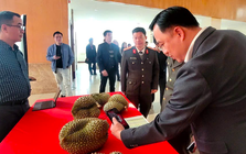 Thí điểm truy xuất nguồn gốc sầu riêng từ đầu năm 2026
