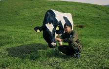 Mộc Châu Creamery: Kế thừa di sản để chuyển mình bền vững