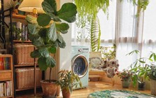 Dọn dẹp cuối năm: Vứt ngay 7 thứ này nếu không muốn mang xui xẻo - thất thoát tiền bạc sang năm mới