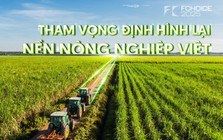 AgriS: Bước chuyển mình tỷ đô từ tư duy "Kinh tế Nông nghiệp" và tham vọng định hình lại nền nông nghiệp Việt