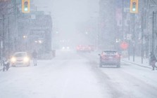 Một quốc gia chứng kiến mùa đông quá lạnh, đạt kỷ lục trong 50 năm