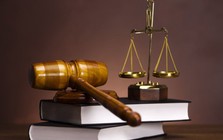 Vì sao Cienco1 bị xử phạt?