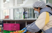 Giá rau củ quả cao ngất ngưởng