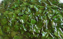 Loại cây "hiếm có khó tìm", giữ bên mình gặp nhiều may mắn, ăn vào bụng bổ như nhân sâm