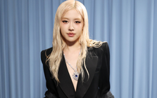 Học vấn của người có gương mặt đẹp nhất thế giới