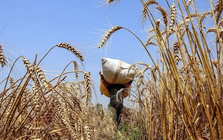 Giá hàng hóa có thể chạm đáy mới vào năm 2026