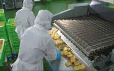 Kowa - Thương hiệu Nhật Bản đầu tư nhà máy thực phẩm triệu đô tại Việt Nam