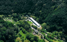 Đôi vợ chồng chi hơn 12 tỷ đồng mua mảnh đất 16.000m2 để nghỉ hưu sớm: “1 năm sau tôi phải quay lại thành phố, mọi thứ khác xa tưởng tượng”