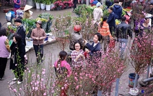 Lịch nghỉ Tết âm lịch Bính Ngọ 2026