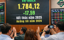 Chứng khoán cuối ngày cuối năm: VN-Index áp sát 1.800 điểm, "tiệc vui" chỉ dành cho nhóm trụ