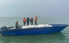 Quảng Ninh bắt giữ 3 xuồng máy chở 27 tấn cau khô không rõ nguồn gốc