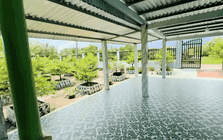 CLIP: Độc lạ nhà miền Tây, "gây lú" cho cả nước