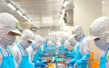 Xoay vốn cho sản xuất