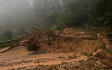 Mưa lớn kéo dài, đèo D'Ran, Mimosa, Prenn - đường lên Đà Lạt tiếp tục sạt lở