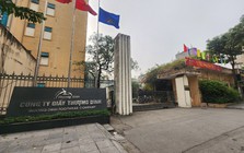 Cổ phiếu tăng trần 12 phiên liên tiếp, Giầy Thượng Đình lên tiếng giải trình