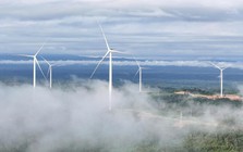 Khát vọng tạo giá trị bền vững từ năng lượng tái tạo của Bầu Hiển