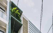 Thiết kế nhà lô hẹp chỉ 35m2 nhưng bên trong vẫn thoáng sáng