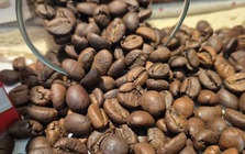 Giá cà phê hôm nay 5-12: Cắt mạch giảm và tin tốt ở thị trường số 1