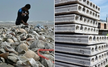 Phát minh có thể làm rung chuyển ngành xây dựng: Dùng thứ bị bỏ đi ở khắp các bờ biển để trộn thêm, giúp bê tông cứng hơn 20%, giảm phát thải CO2 đến 36%