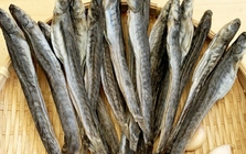 Loại "cá nhà nghèo" ngọt như mì chính, được ví là "sâm nước", giá tới nửa triệu đồng 1kg