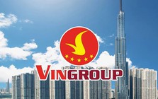 Vingroup điều chỉnh ngành nghề kinh doanh