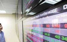 Chứng khoán nghịch lý 'lãi chỉ số, lỗ tài khoản'