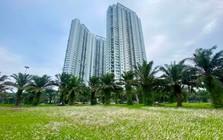 Tại sao  phân khúc cao cấp chiếm chủ đạo thị trường bất động sản?