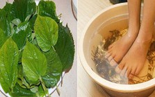 Ngâm chân nước nóng có rất nhiều lợi ích nhưng 5 nhóm người này tốt nhất đừng làm - càng làm nhiều càng hại