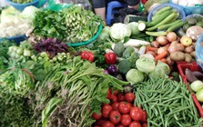 5 loại rau càng rẻ càng dễ dính hóa chất