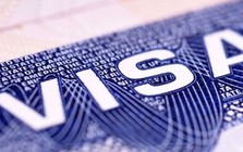 Tin quảng cáo “bao đậu visa” trên mạng, nam thanh niên mất gần 600 triệu đồng