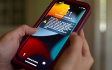 Cảnh bảo nóng với những người tò mò CV của Le Xuan Son