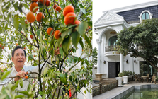 Cơ ngơi 1.000m2 của nam NSƯT mang quân hàm Thượng tá, U70 sống bình yên bên cô công nhân xưởng may