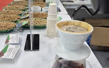 Giá cà phê hôm nay 7-12: Người Việt uống cà phê còn ít