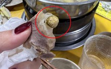 Quán bò nhúng dấm ở Hà Nội bị khách tố có dòi: Sáng quản lý phủ nhận, trưa quán dừng hoạt động