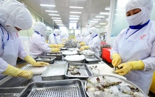 Xuất khẩu thủy sản dự báo cao nhất từ trước đến nay