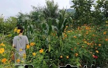 Biệt thự của "mỹ nhân có vòng eo đẹp nhất showbiz", ai đi qua cũng ngoái nhìn