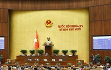 Quốc hội thảo luận loạt cơ chế đặc thù cho Hà Nội, TP Hồ Chí Minh, Đà Nẵng và ngân sách 2025