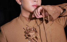 Diễn viên Nguyễn Lâm Thái vừa bị bắt vì trộm túi xách của hoa hậu là ai?