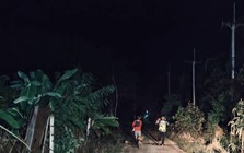 Hơn 100 sinh vật khổng lồ tràn qua khu rừng lúc 2h sáng, cảnh tượng khiến người dân thấp thỏm cả đêm