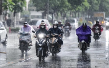 Ngày mai, nhiều khu vực mưa to đến rất to