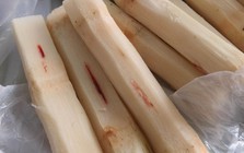 Mua mía thấy vệt đỏ trên thân thì vứt ngay lập tức, ăn vào nôn mửa, co giật tay chân