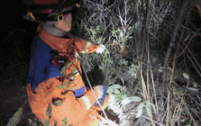 Hai đứa trẻ bỗng mất hút sau lời rỉ tai về "tiên thảo": Phụ huynh nghe xong lạnh cả sống lưng