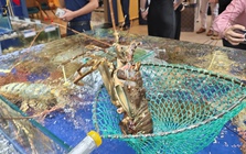 Xuất khẩu tôm lập kỷ lục