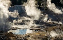 Phát hiện loài sinh vật mới có khả năng chịu nhiệt cao kỷ lục