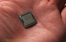 Mua bán trái phép thứ chỉ nằm gọn trong lòng bàn tay, 2 trung niên bị bắt